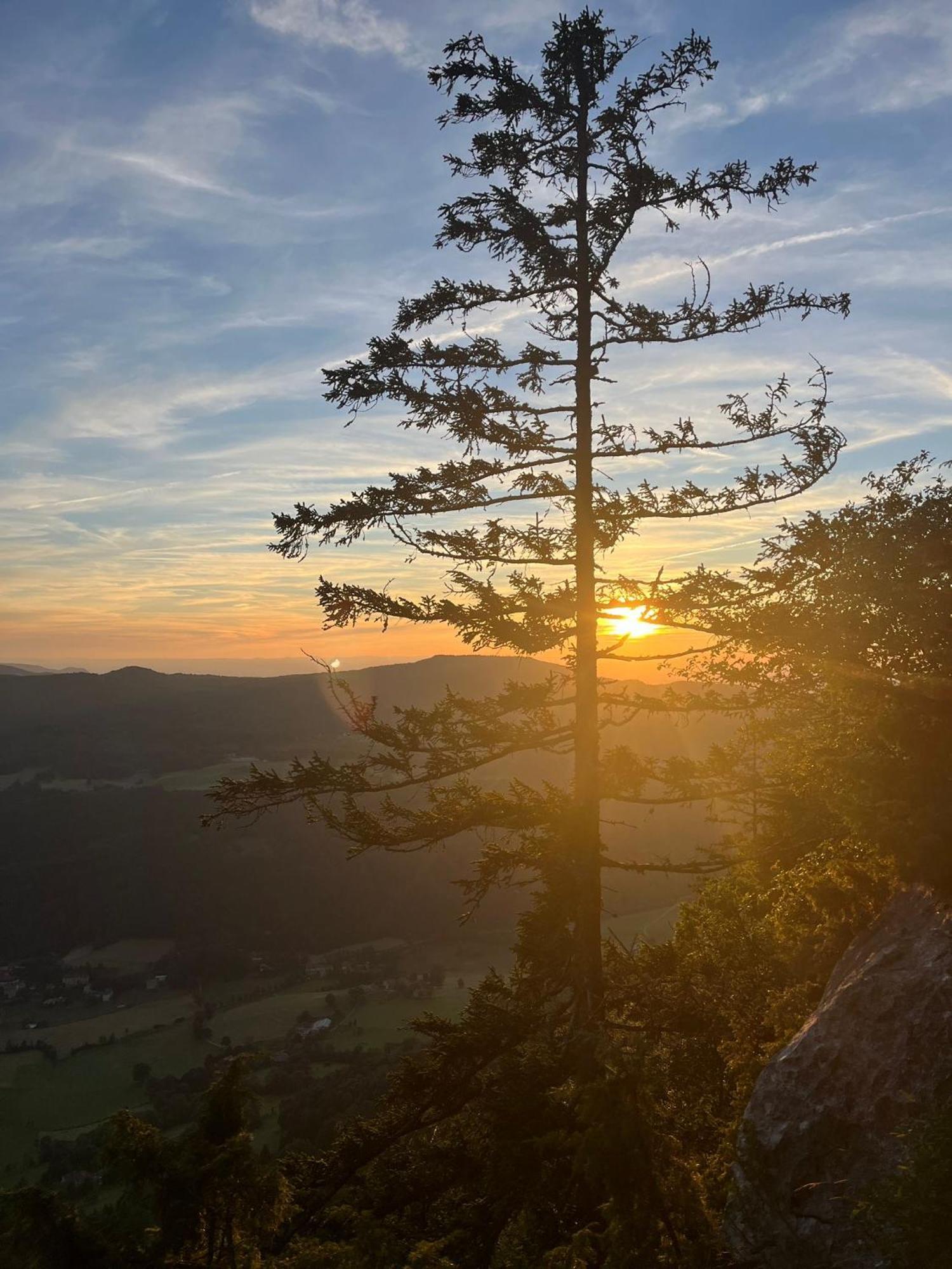 Gite La Morandiere Saint-Martin-en-Vercors Екстер'єр фото