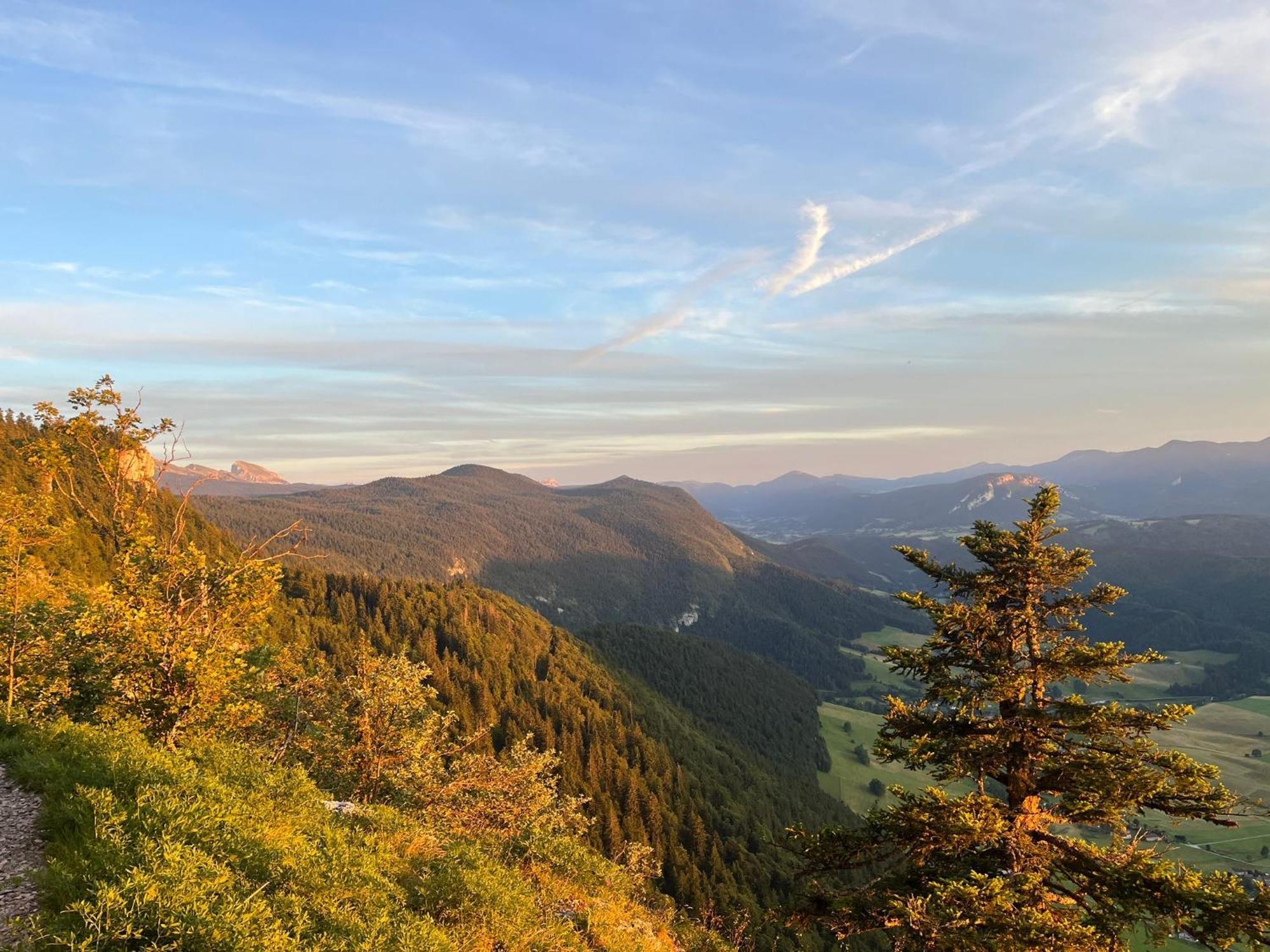 Gite La Morandiere Saint-Martin-en-Vercors Екстер'єр фото